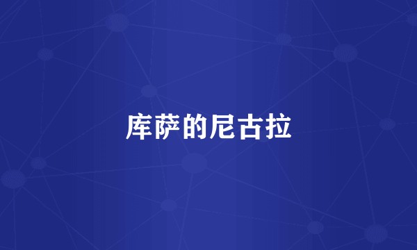 库萨的尼古拉
