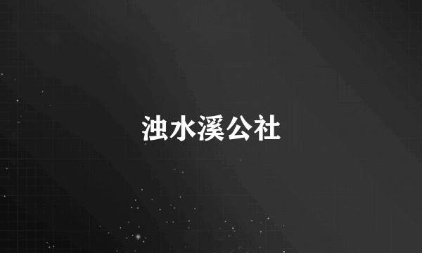 浊水溪公社