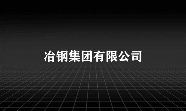 冶钢集团有限公司