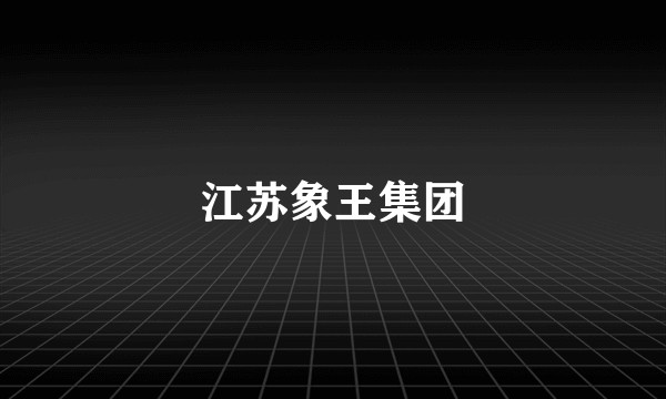 江苏象王集团