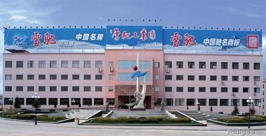 雪驰集团