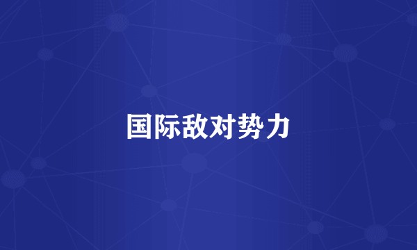 国际敌对势力