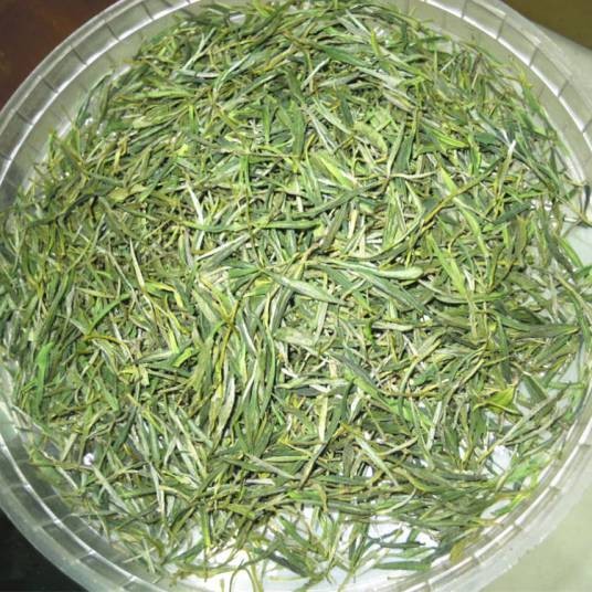 安吉白片茶