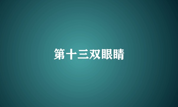 第十三双眼睛
