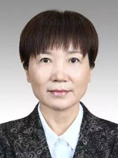 黄冬梅(民建上海市委会副主委)