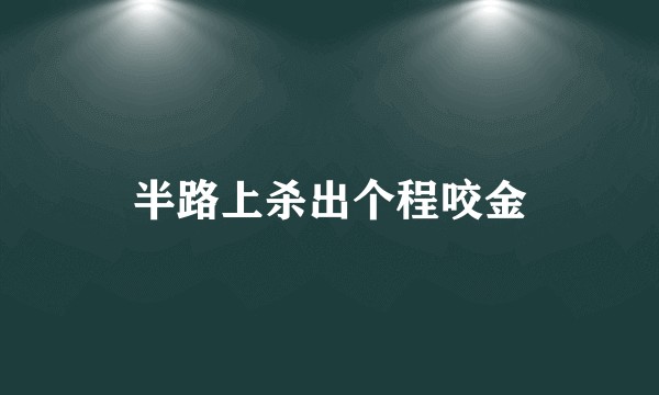 半路上杀出个程咬金