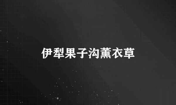 伊犁果子沟薰衣草