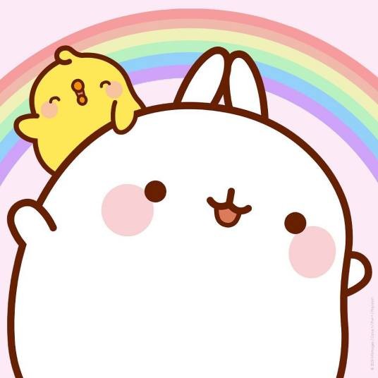 萌浪兔 MOLANG