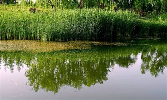 大宁灵石绿地