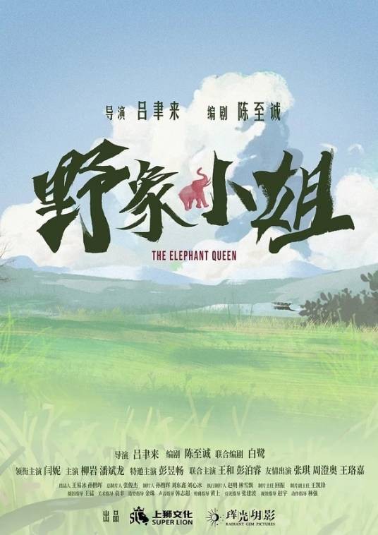 野象小姐（2024年吕聿来执导的电影）