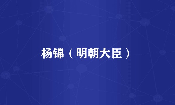 杨锦（明朝大臣）