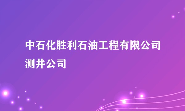 中石化胜利石油工程有限公司测井公司