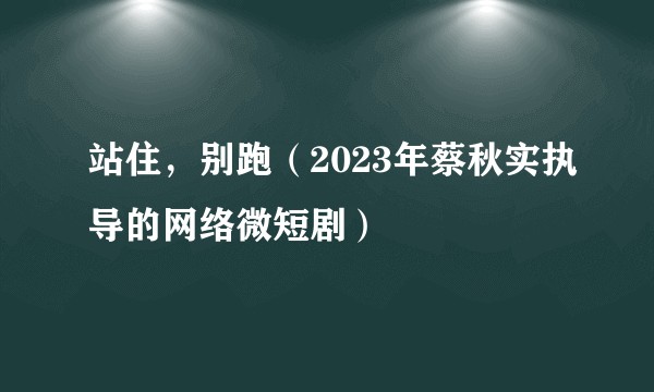 站住,别跑(2023年蔡秋实执导的网络微短剧)