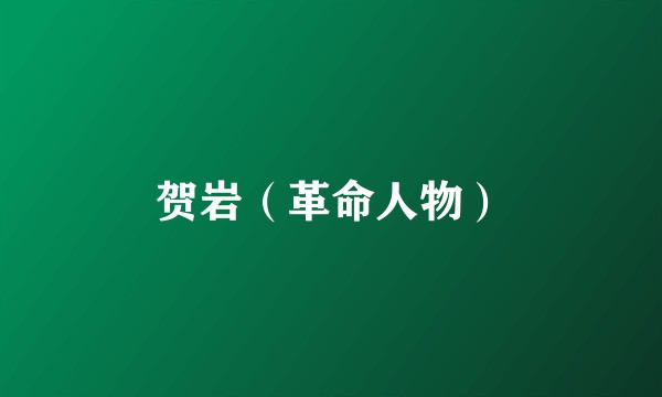 贺岩（革命人物）