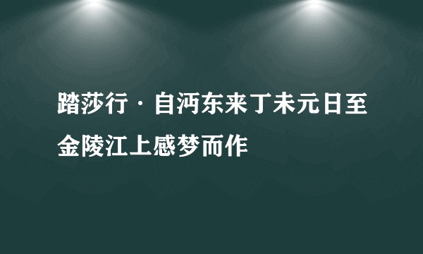 踏莎行·自沔东来丁未元日至金陵江上感梦而作
