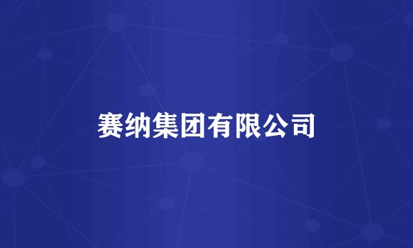 赛纳集团有限公司