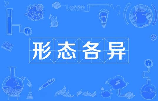 形态各异