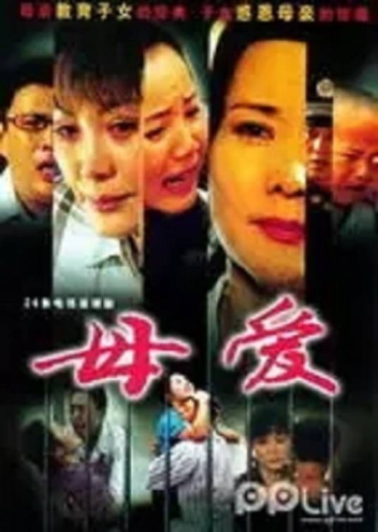 母爱十三宗