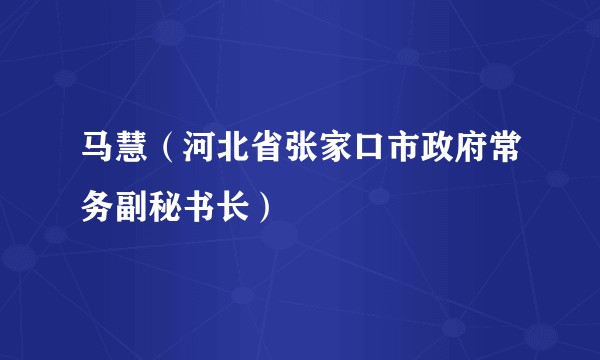 马慧（河北省张家口市政府常务副秘书长）