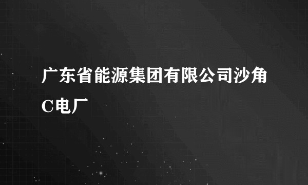 广东省能源集团有限公司沙角C电厂