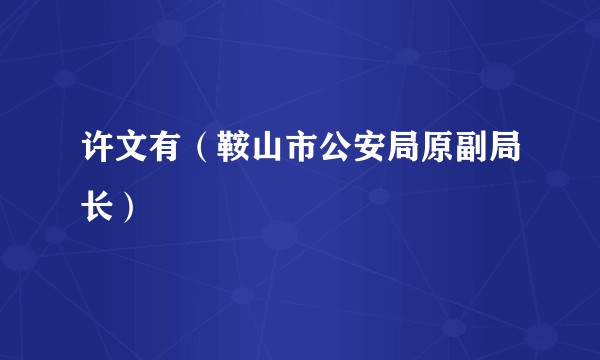 许文有（鞍山市公安局原副局长）