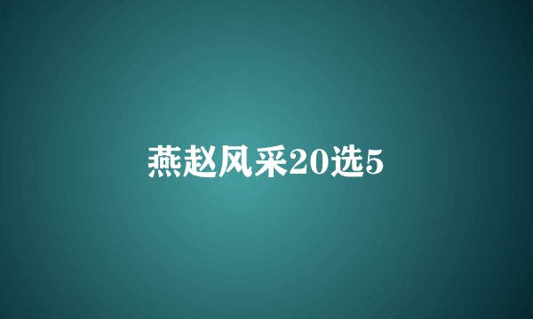 燕赵风采20选5