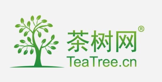 茶树网学院
