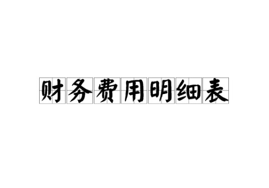 财务费用明细表