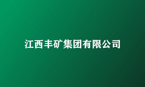 江西丰矿集团有限公司