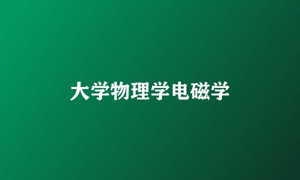 大学物理学电磁学