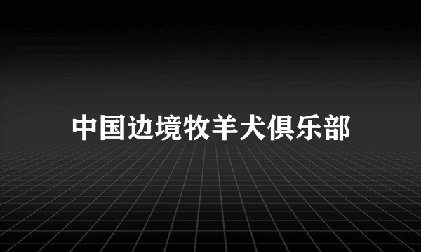 中国边境牧羊犬俱乐部
