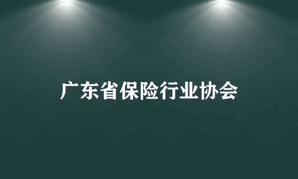 广东省保险行业协会