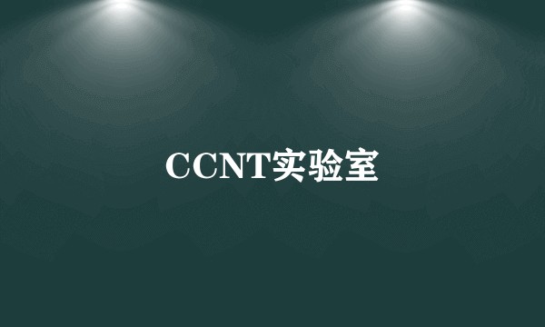 CCNT实验室