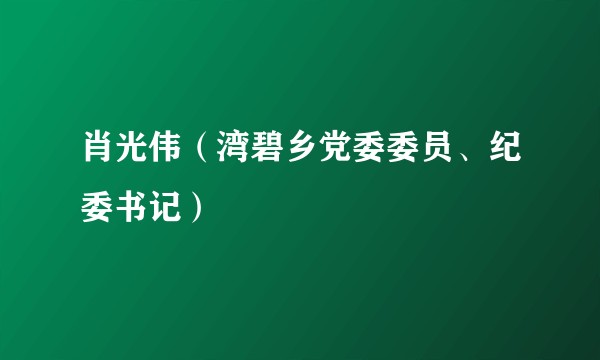 肖光伟（湾碧乡党委委员、纪委书记）