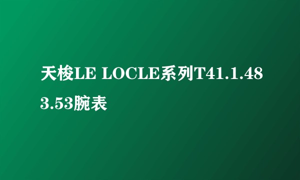 天梭LE LOCLE系列T41.1.483.53腕表
