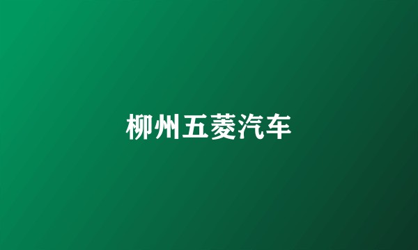 柳州五菱汽车