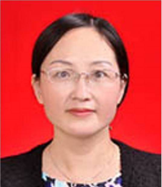 杨宜（江西省宜春市袁州区人民政府副区长）