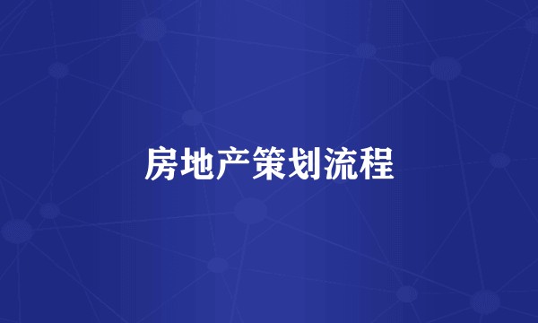 房地产策划流程