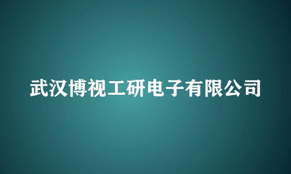 武汉博视工研电子有限公司