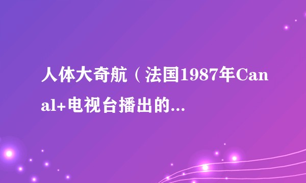 人体大奇航（法国1987年Canal+电视台播出的健康教育动画电视剧）