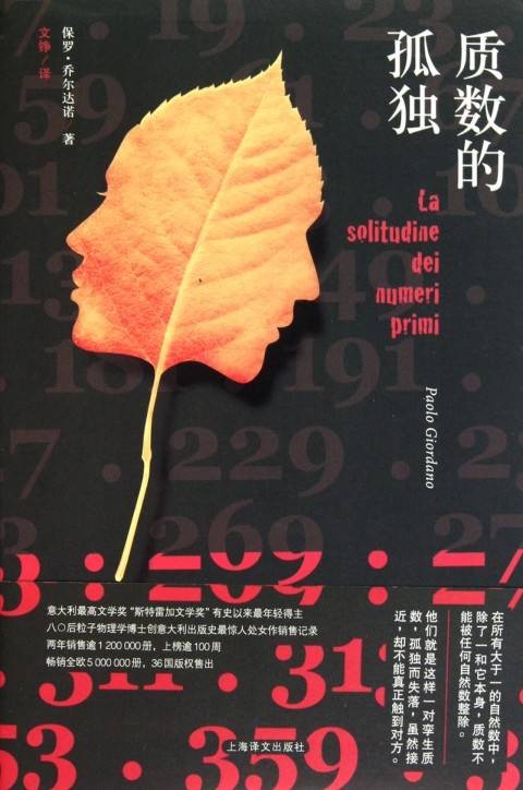 质数的孤独(2011年上海译文出版社出版的图书)