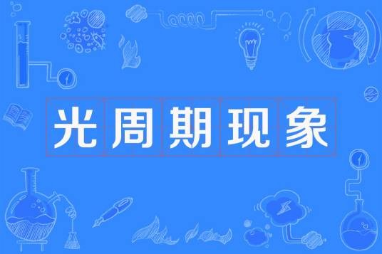 光周期现象