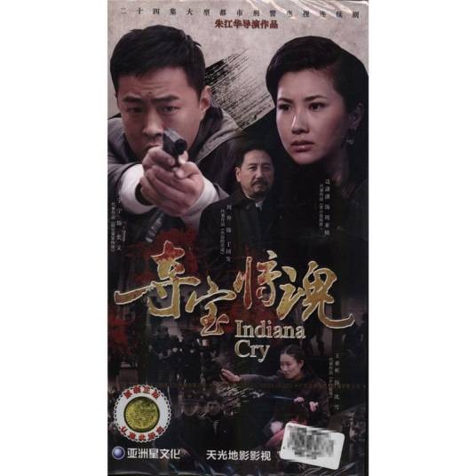 夺宝惊魂（2013年朱江华执导的悬疑剧）
