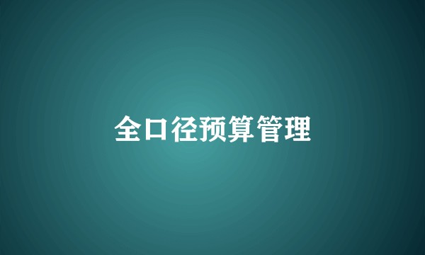 全口径预算管理