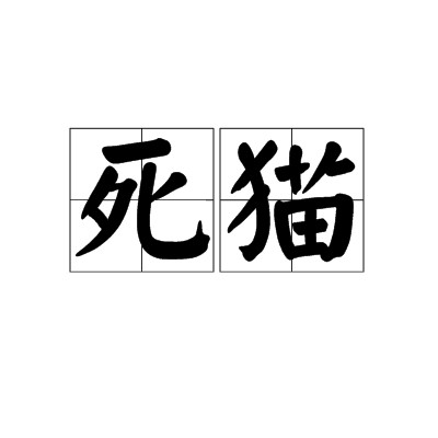 死猫