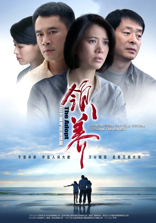 领养（2015年袁咏仪、丁海峰主演的都市情感剧）