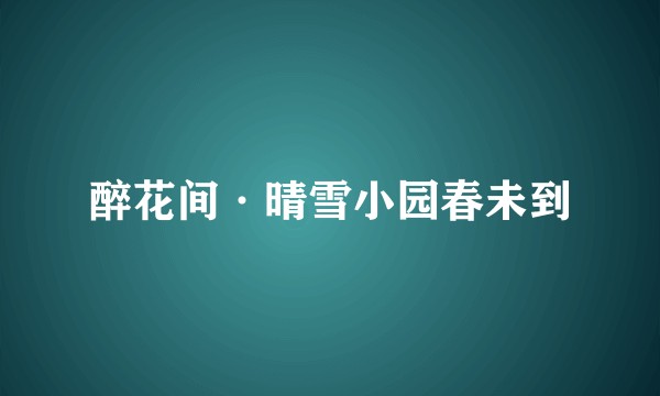 醉花间·晴雪小园春未到