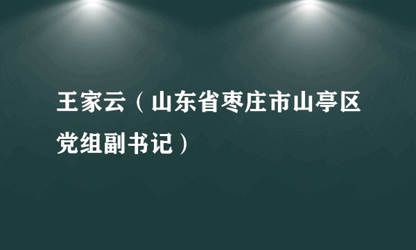 王家云（山东省枣庄市山亭区党组副书记）