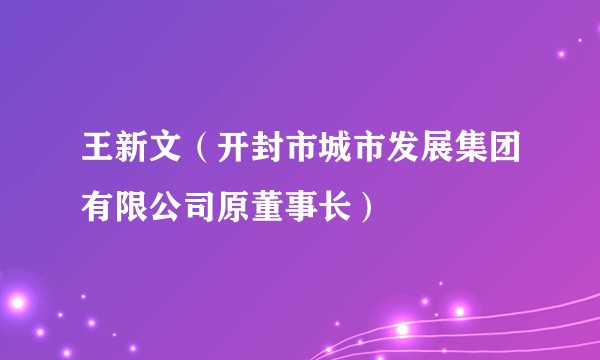 王新文(开封市城市发展集团有限公司原董事长)