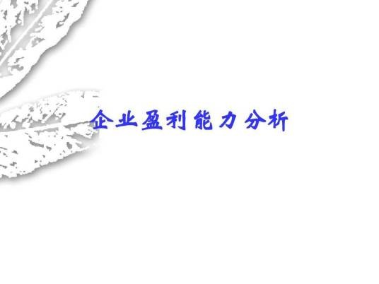 企业盈利能力分析